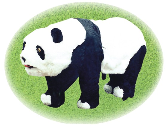 產(chǎn)品名稱